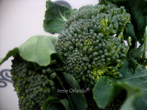 pici-toscani-sparacelli-broccoletti3