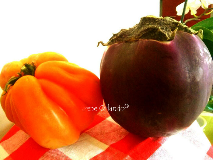 Spaghetti melanzane pomodoro fresco basilico