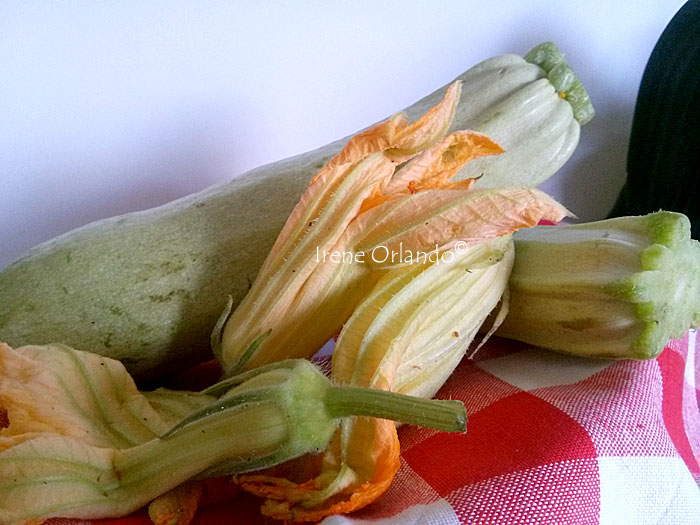 zucchine-fiori-zucchine2