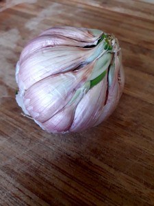 zucchine-e-carote-a-julienne---testa-aglio-crudo